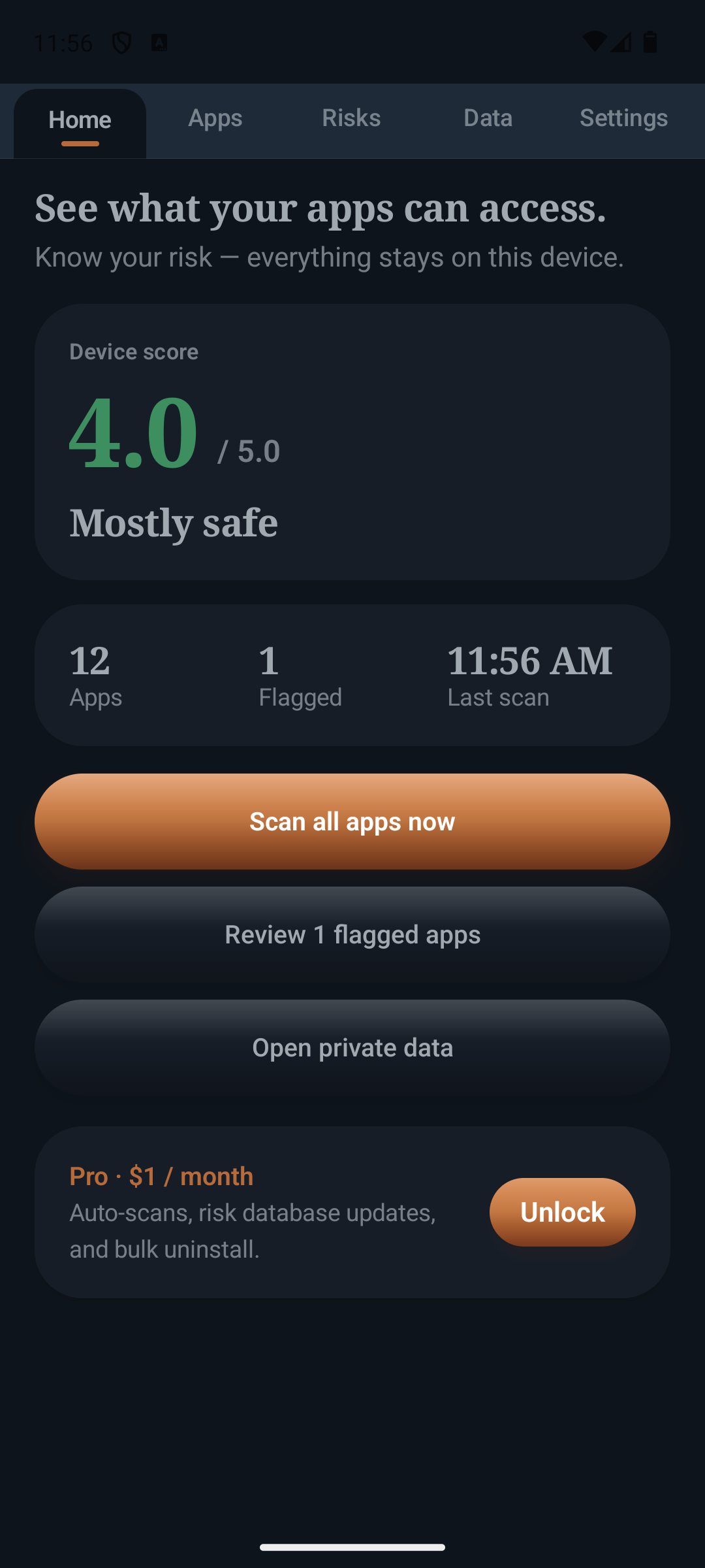 IronGuard Home screen showing device score and scan actions